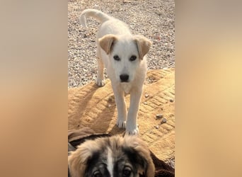 Skye sucht nach Geborgenheit