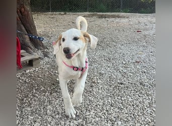 Lilly - will nur noch SCHÖNE Abenteuer