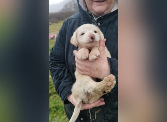 Lilly - will nur noch SCHÖNE Abenteuer