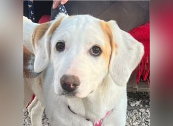 Lilly - will nur noch SCHÖNE Abenteuer