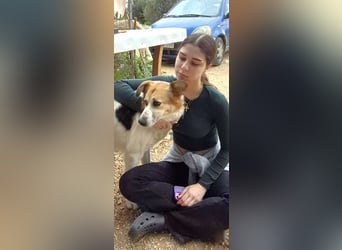 Grace - fröhliche, schlaue Lady!