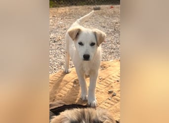 Skye sucht nach Geborgenheit