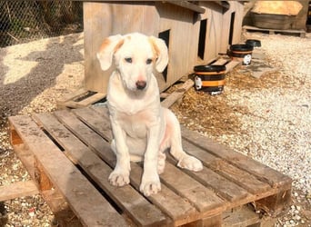 Lilly - will nur noch SCHÖNE Abenteuer