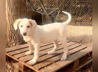 Lilly - will nur noch SCHÖNE Abenteuer
