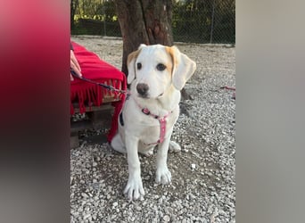 Lilly - will nur noch SCHÖNE Abenteuer