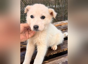Skye sucht nach Geborgenheit