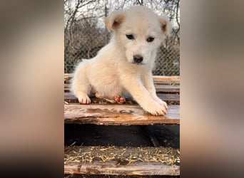 Skye sucht nach Geborgenheit