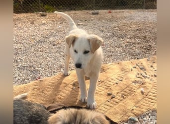 Skye sucht nach Geborgenheit