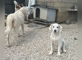 Lilly - will nur noch SCHÖNE Abenteuer