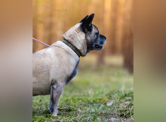 Freundliche Juta sucht ihre Menschen