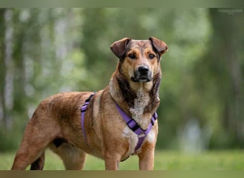 Soziale Rita sucht ihr liebevolles Zuhause