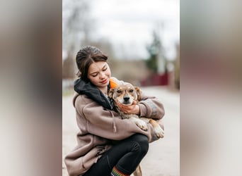 Ruhiges Zuhause für Heidi gesucht