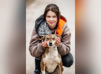 Ruhiges Zuhause für Heidi gesucht