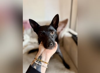 Frutti Liebevolle Seele sucht einfühlsame Menschen!