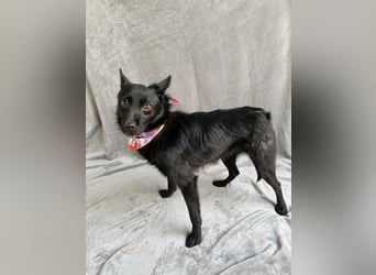 Frutti - Liebevolle Seele sucht einfühlsame Menschen!