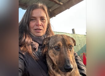 Prometeusz Sensibler Hund sucht Menschen mit Geduld und Herz