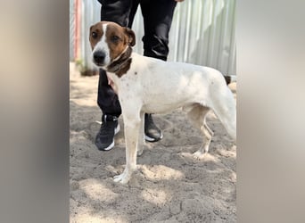 Nococo Kleiner Charmeur sucht sein Glück