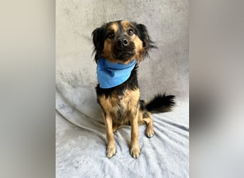 Zapote - Großer Schmusebär auf der Suche nach seinem Happy EndGroßer Schmusebär auf der Suche nach s