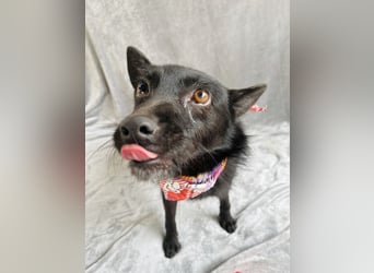 Frutti - Liebevolle Seele sucht einfühlsame Menschen!