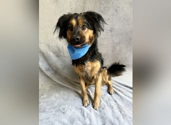 Zapote - Großer Schmusebär auf der Suche nach seinem Happy EndGroßer Schmusebär auf der Suche nach s