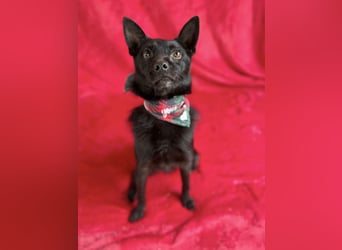 Frutti - Liebevolle Seele sucht einfühlsame Menschen!