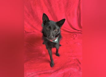 Frutti - Liebevolle Seele sucht einfühlsame Menschen!