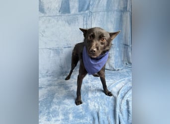 Frutti - Liebevolle Seele sucht einfühlsame Menschen!