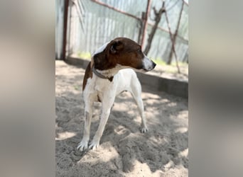 Nococo Kleiner Charmeur sucht sein Glück