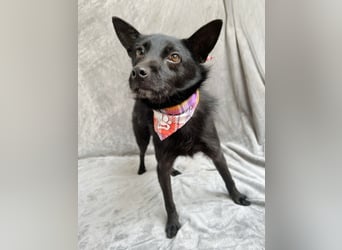 Frutti - Liebevolle Seele sucht einfühlsame Menschen!