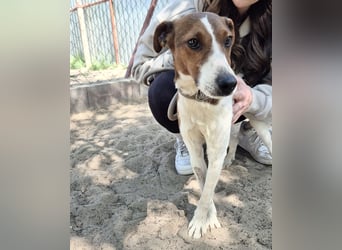 Nococo Kleiner Charmeur sucht sein Glück