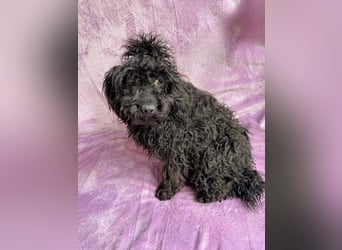 Valerie - Bezaubernde kleine Seele auf der Suche nach Geborgenheit!