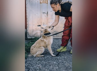 Lunna möchte dein Herz erobern