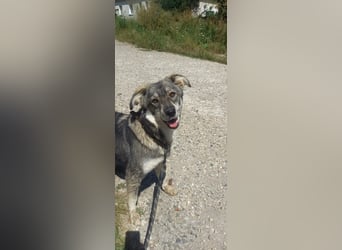 Tutschka - Sanfte Schönheit wartet auf ihre Menschen