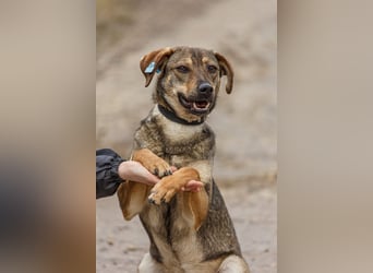 Mila sehnt sich nach Liebe