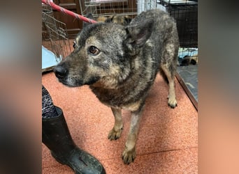 Emilio musste so viel Leid ertragen