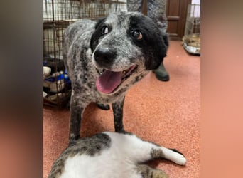 Kora - herzallerliebst❤️