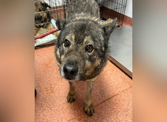 Emilio musste so viel Leid ertragen