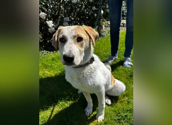 Luna - in Deutschland