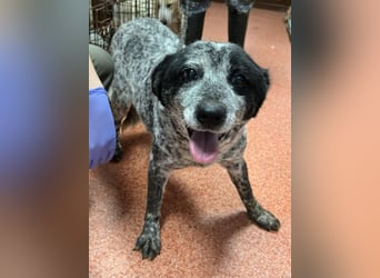 Kora - herzallerliebst❤️