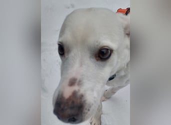 Frieda - fröhlich und unkompliziert