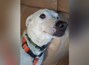 Frieda - fröhlich und unkompliziert