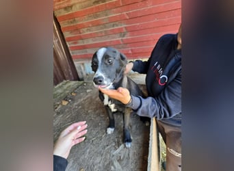 Maylo - wurde ausgesetzt