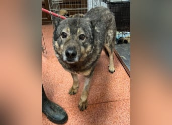 Emilio musste so viel Leid ertragen