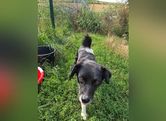 Lola - unternehmungslustig