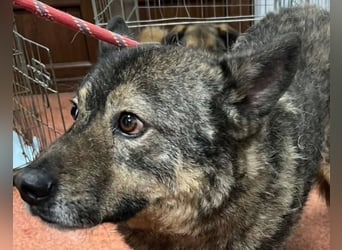 Emilio musste so viel Leid ertragen