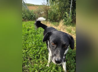 Lola - unternehmungslustig