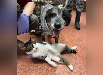 Kora - herzallerliebst❤️