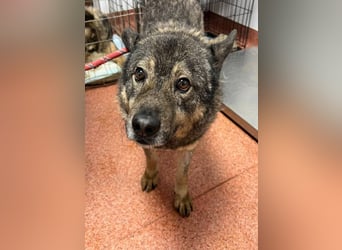 Emilio musste so viel Leid ertragen