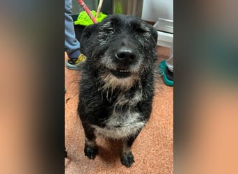 Drako - er hatte einen Schutzengel