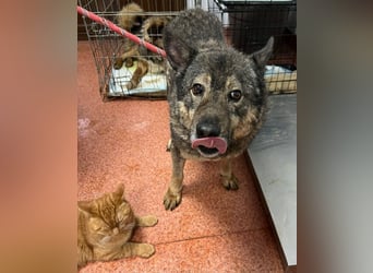 Emilio musste so viel Leid ertragen